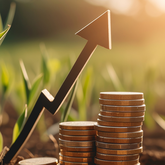 A stacked pile of coins set against a backdrop of green plants with sunlight shining through. Next to the coins is an upward-pointing arrow, symbolizing financial growth or investment success in an agricultural setting.