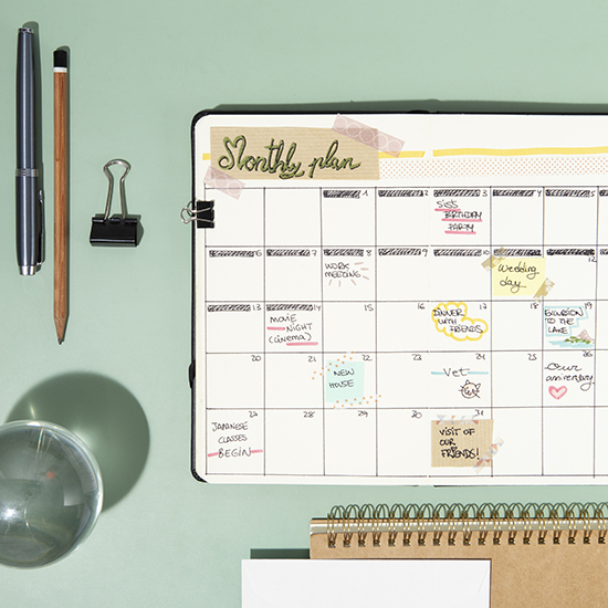 Overhead view of a monthly planner, emphasizing organizing skills with handwritten notes and decorations. It includes reminders for meetings, vet visits, and events. Surrounding items include a pen, binder clip, and a clear sphere, all on a light green background fostering self-improvement.