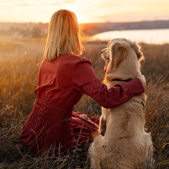 phobia hypnotherapy 99 20 fearofdogsrollover
