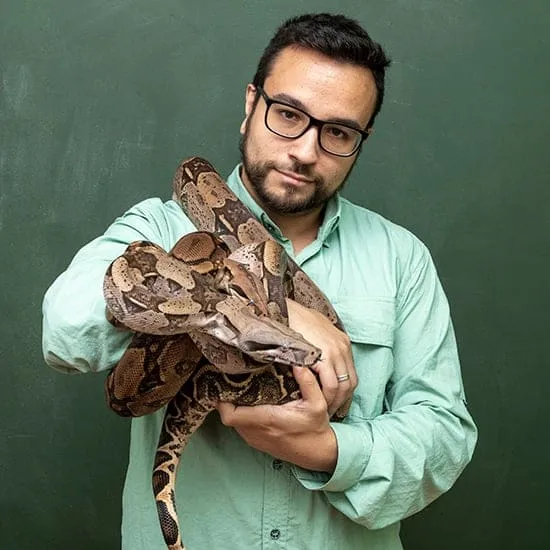 phobia hypnotherapy 163 52 fearofsnakesrollover