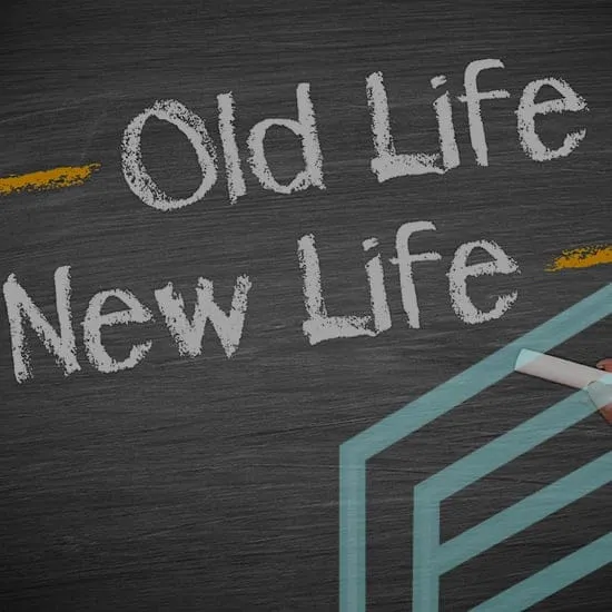 8 lifetransitionmain